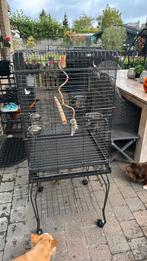 Vogelkooi, Dieren en Toebehoren, Vogels | Hokken en Kooien, Ophalen, Vogelkooi