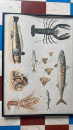 Schoolplaat in kadet met glas, Antiquités & Art, Antiquités | Cartes scolaires, Enlèvement