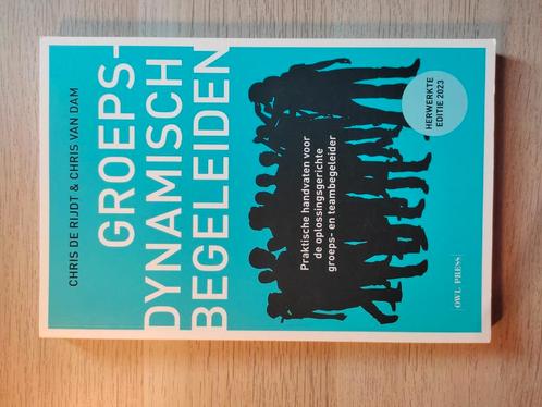 Chris De Rijdt - Groepsdynamisch begeleiden, Boeken, Wetenschap, Zo goed als nieuw, Ophalen