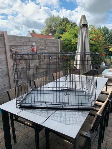Bench hond beschikbaar voor biedingen
