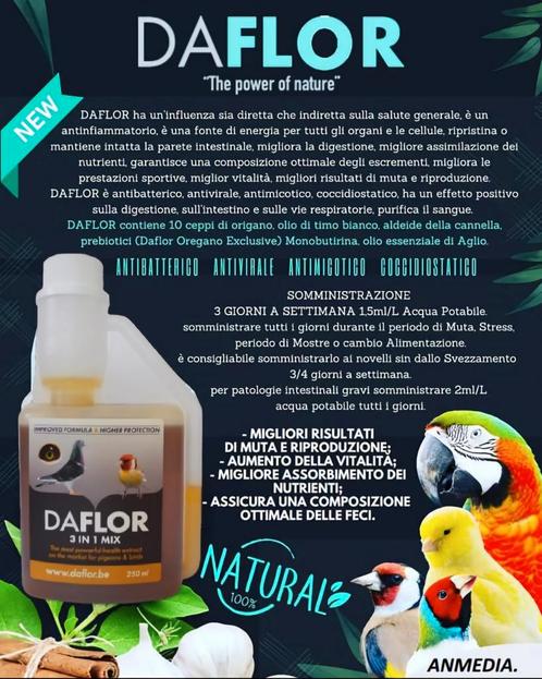 Daflor 3 in 1 Mix 250ml - Nieuwe Formule ( Nieuwe Openingsti, Dieren en Toebehoren, Vogels | Toebehoren, Ophalen of Verzenden