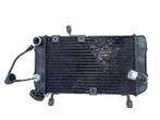 RADIATEUR EAU Suzuki SV 650 1999-2002 (SV650N SV650S SV650), Dhr. S. di Majo, Utilisé, Info@cama-motorparts.nl, P.J. Troelstraweg 8 8
3144 CX  MAASSLUIS, NL
