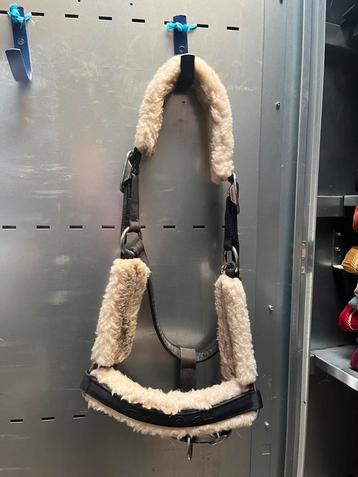 Eskadron halster donkerblauw full beschikbaar voor biedingen