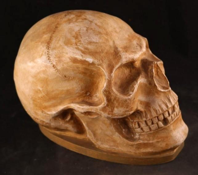 Joli crâne à enfiler pour un casque, Collections, Objets militaires | Général, Enlèvement