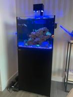 Zeeaquarium Red Sea Reefer 170, Dieren en Toebehoren, Vissen | Aquaria en Toebehoren, Ophalen, Zo goed als nieuw, Gevuld zeewateraquarium