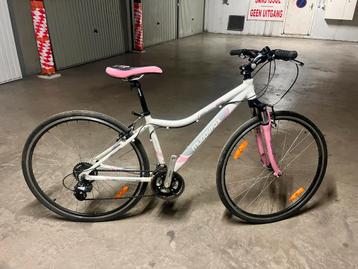 Velo dame fitness muddy fox beschikbaar voor biedingen