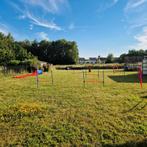 Parcours d'agility, Ophalen of Verzenden