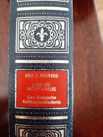 Lise de Montargis - Historische roman beschikbaar voor biedingen