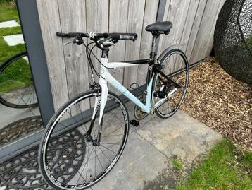 Koersfiets Giant beschikbaar voor biedingen