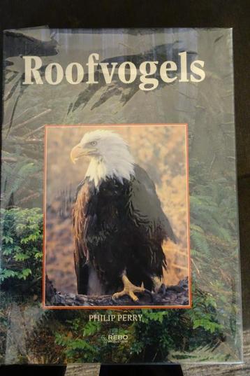 Roofvogels beschikbaar voor biedingen