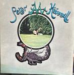PETER HAMMILL - 5 TITELS, CD & DVD, Vinyles | Rock, Progressif, 12 pouces, Utilisé, Enlèvement ou Envoi