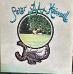 PETER HAMMILL - 4 TITELS, CD & DVD, Vinyles | Rock, Progressif, 12 pouces, Utilisé, Enlèvement ou Envoi