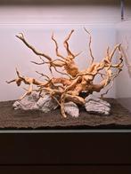 Red Moor wood - Spiderwood for aquascapes, Ophalen of Verzenden, Nieuw, Plant(en), Steen of Hout