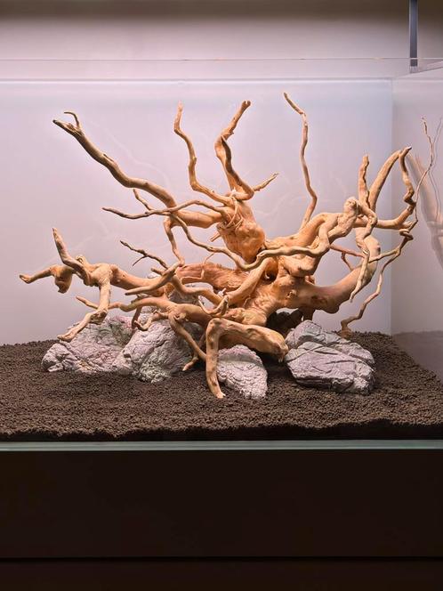 Red Moor wood - Spiderwood for aquascapes, Dieren en Toebehoren, Vissen | Aquaria en Toebehoren, Nieuw, Plant(en), Steen of Hout