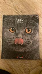 Livre sur les chats de Fabio Pétroni Neuf acheter 20€, Boeken, Kinderboeken | Jeugd | 13 jaar en ouder, Nieuw