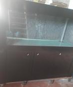 Aquarium 160 x 60 x 60, Dieren en Toebehoren, Ophalen