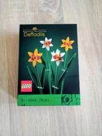LEGO 40646 – Jonquilles (Botanical Collection) – Neuf, Sc, Envoi