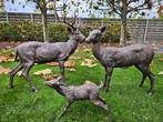 3 bronzen herten aan zeer lage prijs eenmalig weg is weg!!!, Tuin en Terras, Tuinbeelden, Ophalen of Verzenden, Zo goed als nieuw
