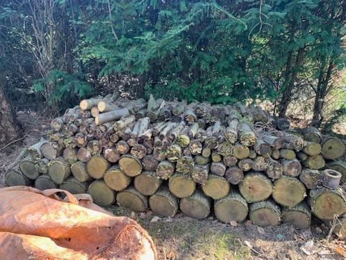Hout om te geven, Tuin en Terras, Brandhout, Blokken, Overige houtsoorten, 6 m³ of meer, Ophalen
