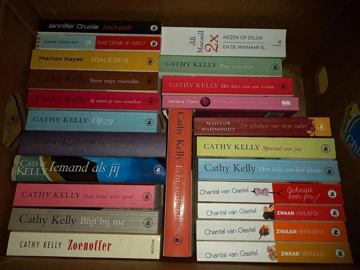 Lot leesboeken, Livres, Partis & Groupements, Comme neuf, Enlèvement