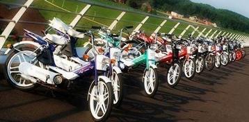RECHERCHÉ : Honda Camino Vario - Classe B, Autres modèles, 49 cm³, Comme neuf, Classe B (45 km/h)
