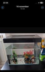 Juwel aquarium met filter, Dieren en Toebehoren, Ophalen, Zo goed als nieuw