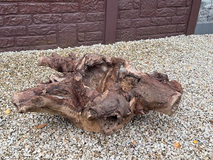 decoratieve boom/houtstronk, Tuin en Terras, Bloembakken en Plantenbakken, Hout, Ophalen
