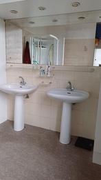 Wastafel - Retro (seventies), Ophalen, Gebruikt, Wastafel