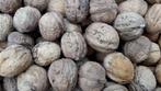 Okkernoten - Walnoten, Diversen, Levensmiddelen, Ophalen of Verzenden