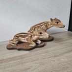 Un garçon sanglier en peluche a installé une taxidermie, Enlèvement ou Envoi