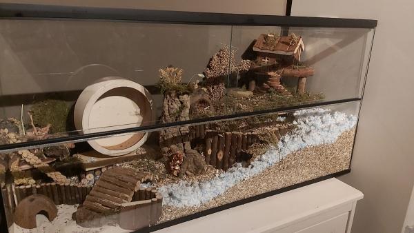 Hamsterscaping hamsterkooi van glas met schuifruiten, Animaux & Accessoires, Rongeurs & Lapins | Cages & Clapiers, Neuf, Niche