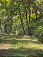 Bosgrond met recreatiehut, Ophalen of Verzenden, Gebruikt