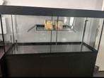 Aquarium schildpadden, incl. toebehoren, Dieren en Toebehoren, Reptielen en Amfibieën | Toebehoren, Ophalen, Gebruikt, Terrarium of Paludarium
