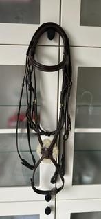 Mexicaans hoofdstel, Dieren en Toebehoren, Ophalen of Verzenden, Nieuw