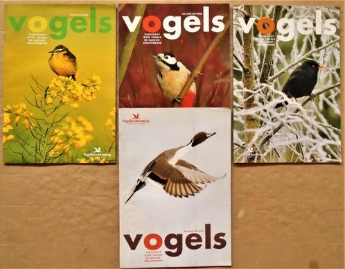 Vogels - 5 tijdschriften v. Vogelbescherming NL - 2006/2007, Animaux & Accessoires, Oiseaux | Perruches & Perroquets