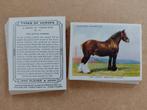 Types of Horses complete set 25 chromos paarden REPRINT, Ophalen of Verzenden, 1980 tot heden, Zo goed als nieuw, Dier