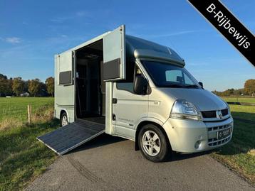 Renault Master MTM 2-paards paardenvrachtwagen MARGE B-rijbe disponible aux enchères