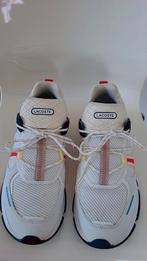 basket lacoste n44, Sport en Fitness, Ophalen of Verzenden, Zo goed als nieuw