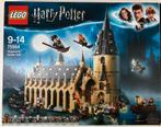 LEGO Harry Potter - De Grote Zaal van Zweinstein - 75954, Ophalen, Zo goed als nieuw, Lego