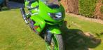 Zx9r, 4 cylindres, Particulier, Plus de 35 kW, Sport