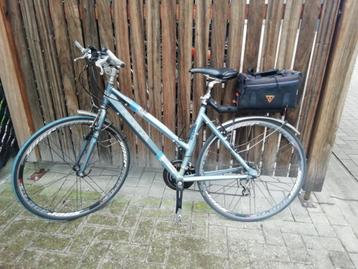 Damesfiets, Fietsen en Brommers, Fietsen | Dames | Damesfietsen, Gebruikt, 47 tot 50 cm, Versnellingen, Ophalen