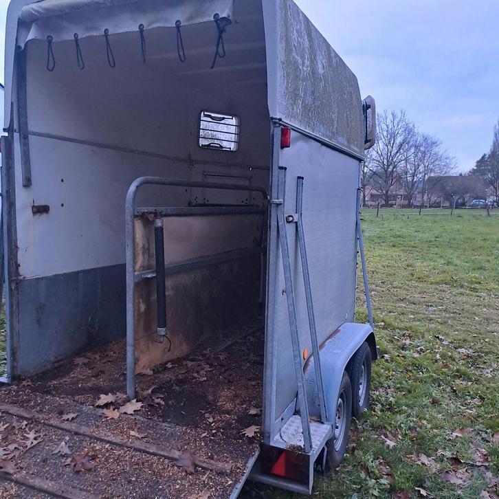 Paardentrailer, Dieren en Toebehoren, Paarden en Pony's | Trailers en Aanhangwagens, Ophalen