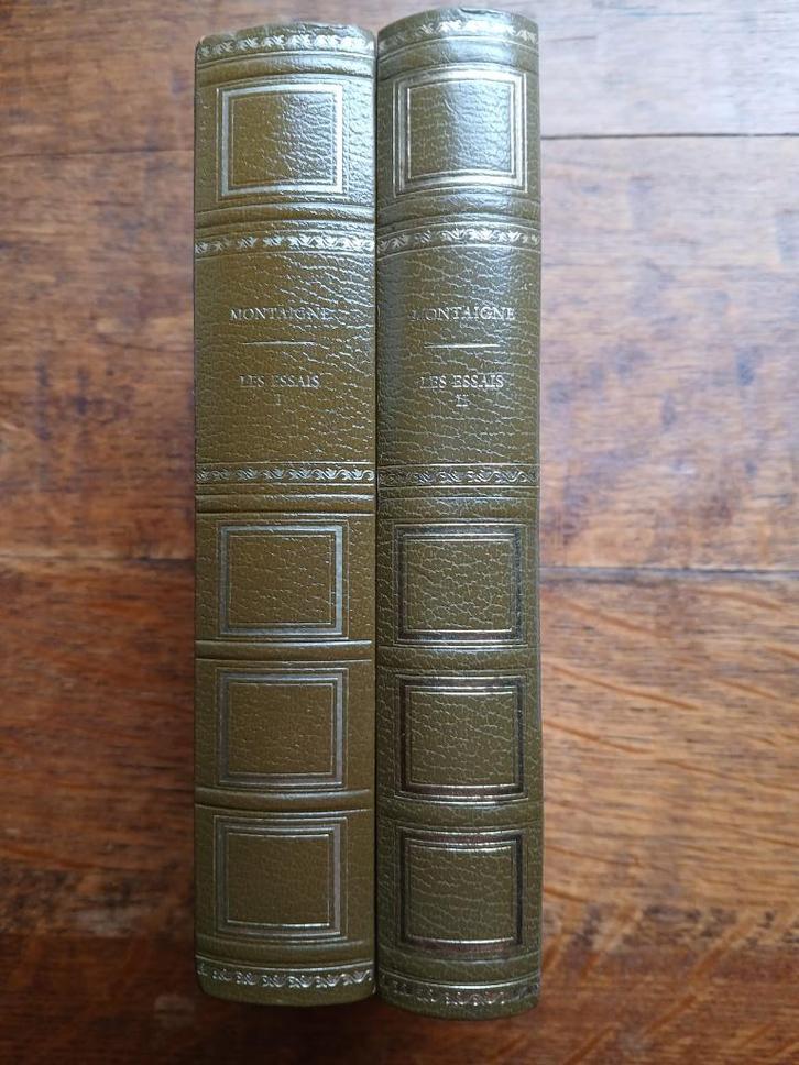 Montaigne - Essais, Boeken, Essays, Columns en Interviews, Zo goed als nieuw, Ophalen of Verzenden