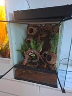 Exo terra 60-45-45, Ophalen, Zo goed als nieuw, Terrarium of Paludarium