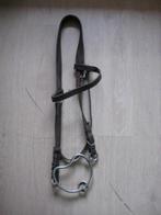 Hengsten bit RVS met halster als nieuw, Dieren en Toebehoren, Paarden en Pony's | Hoofdstellen en Tuigage, Ophalen of Verzenden