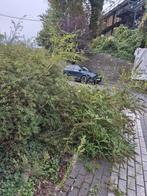 jardinier, Diensten en Vakmensen, Tuinmannen en Stratenmakers, Tuinonderhoud of Snoeiwerk