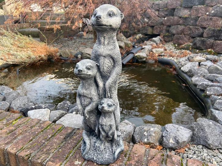 Stokstaartje Trio ,  hoogte 50cm, Tuin en Terras, Tuinbeelden, Nieuw, Dierenbeeld, Beton, Ophalen