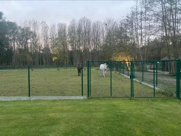 Clôture de jardin  disponible aux enchères