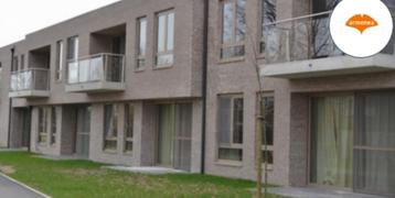 Assistentiewoning De Notelaar, 50 m² ou plus, Province d'Anvers