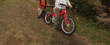 Kokua 16" Fiets met Alu Frame – Klaar voor Avontuur! beschikbaar voor biedingen